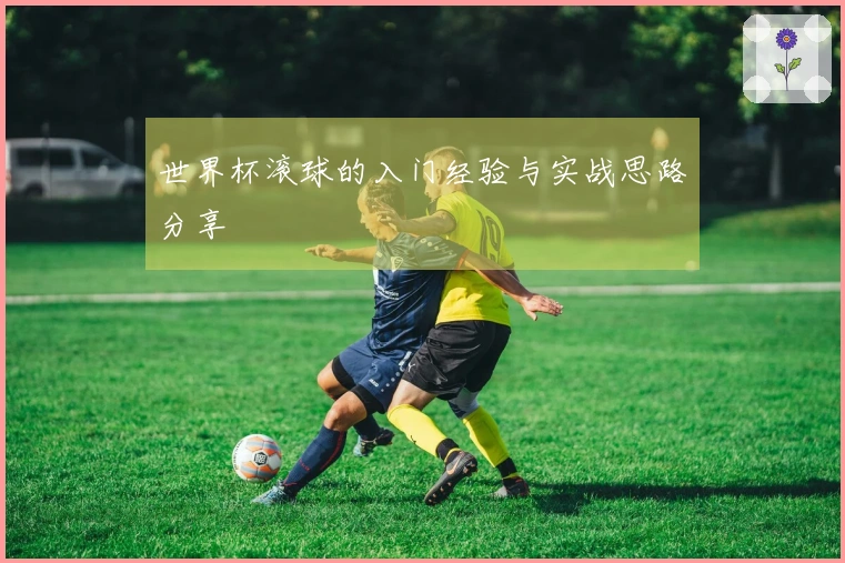 世界杯滚球的入门经验与实战思路分享