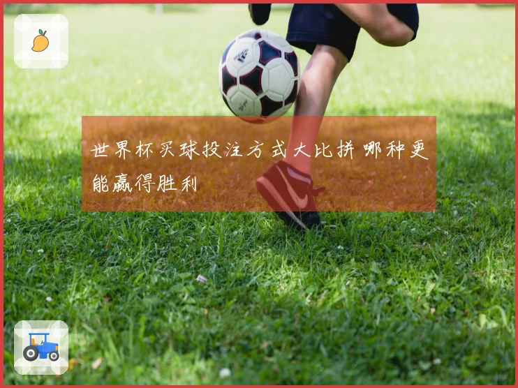 世界杯买球投注方式大比拼 哪种更能赢得胜利
