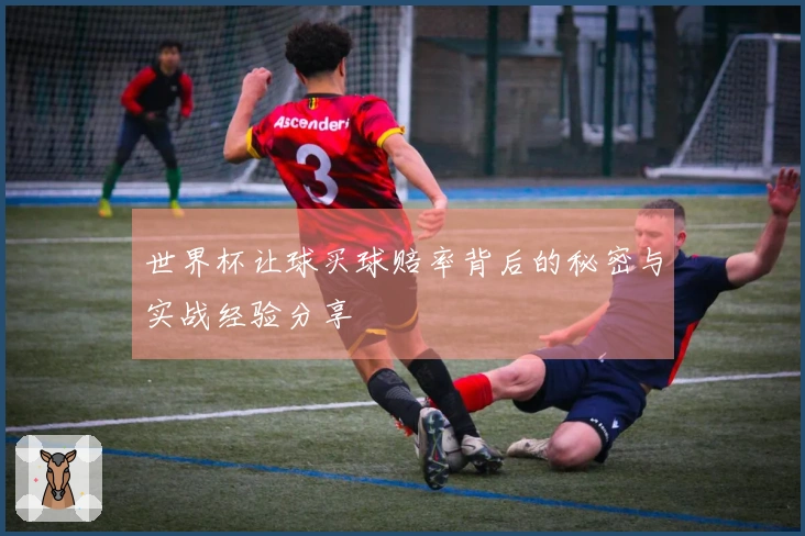 世界杯让球买球赔率背后的秘密与实战经验分享