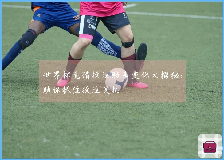 世界杯竞猜投注赔率变化大揭秘，助你抓住投注良机