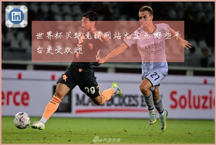 世界杯买球竞猜网站大盘点 哪些平台更受欢迎