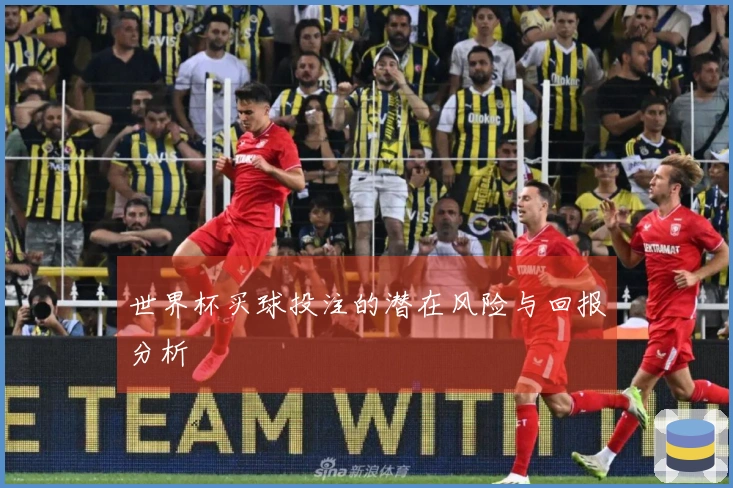 世界杯买球投注的潜在风险与回报分析