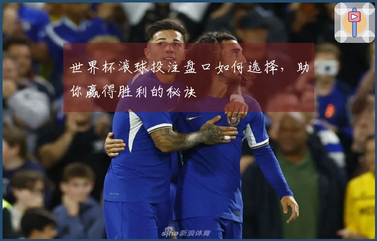 世界杯滚球投注盘口如何选择，助你赢得胜利的秘诀