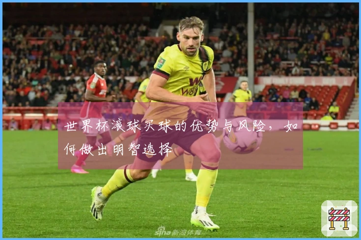 世界杯滚球买球的优势与风险，如何做出明智选择