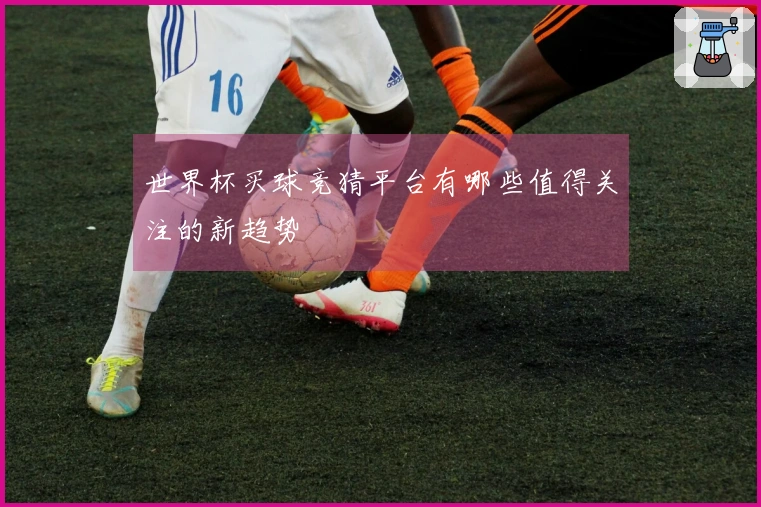 世界杯买球竞猜平台有哪些值得关注的新趋势