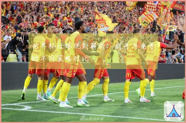 世界杯让球规则解析：新手与老手的不同策略对比