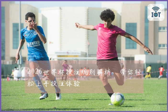 2026世界杯投注规则解析，带你轻松上手投注体验