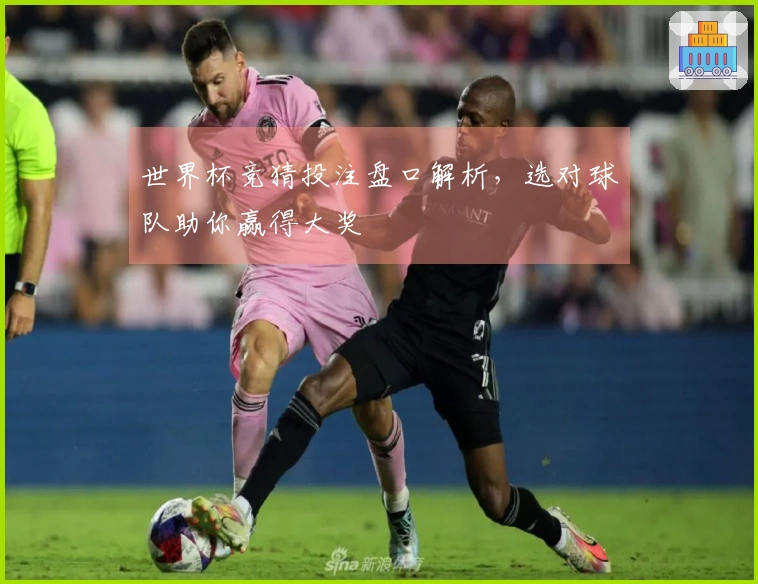 世界杯竞猜投注盘口解析，选对球队助你赢得大奖