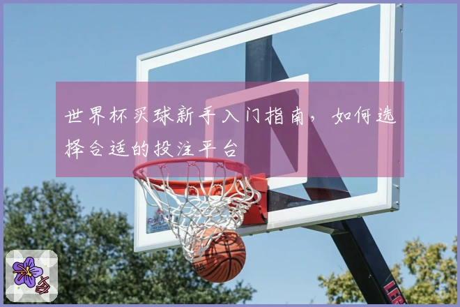 世界杯买球新手入门指南，如何选择合适的投注平台