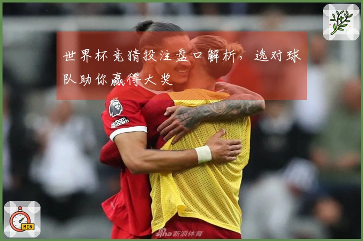 世界杯竞猜投注盘口解析，选对球队助你赢得大奖