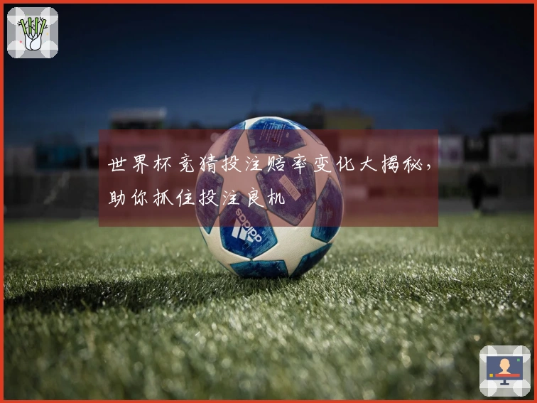 世界杯竞猜投注赔率变化大揭秘，助你抓住投注良机