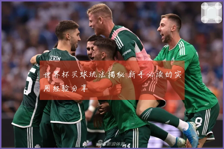 世界杯买球玩法揭秘 新手必读的实用经验分享