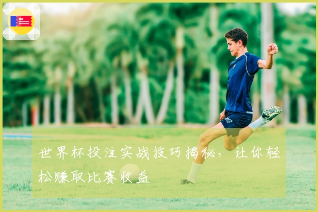 世界杯投注实战技巧揭秘，让你轻松赚取比赛收益