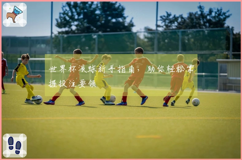 世界杯滚球新手指南，助你轻松掌握投注要领