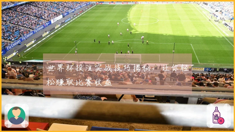 世界杯投注实战技巧揭秘，让你轻松赚取比赛收益