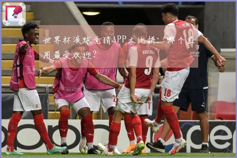 世界杯滚球竞猜APP大比拼：哪个应用最受欢迎？