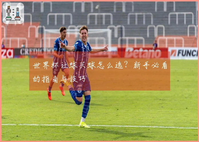 世界杯让球买球怎么选？新手必看的指南与技巧